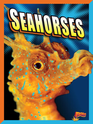 cover image of Seahorses